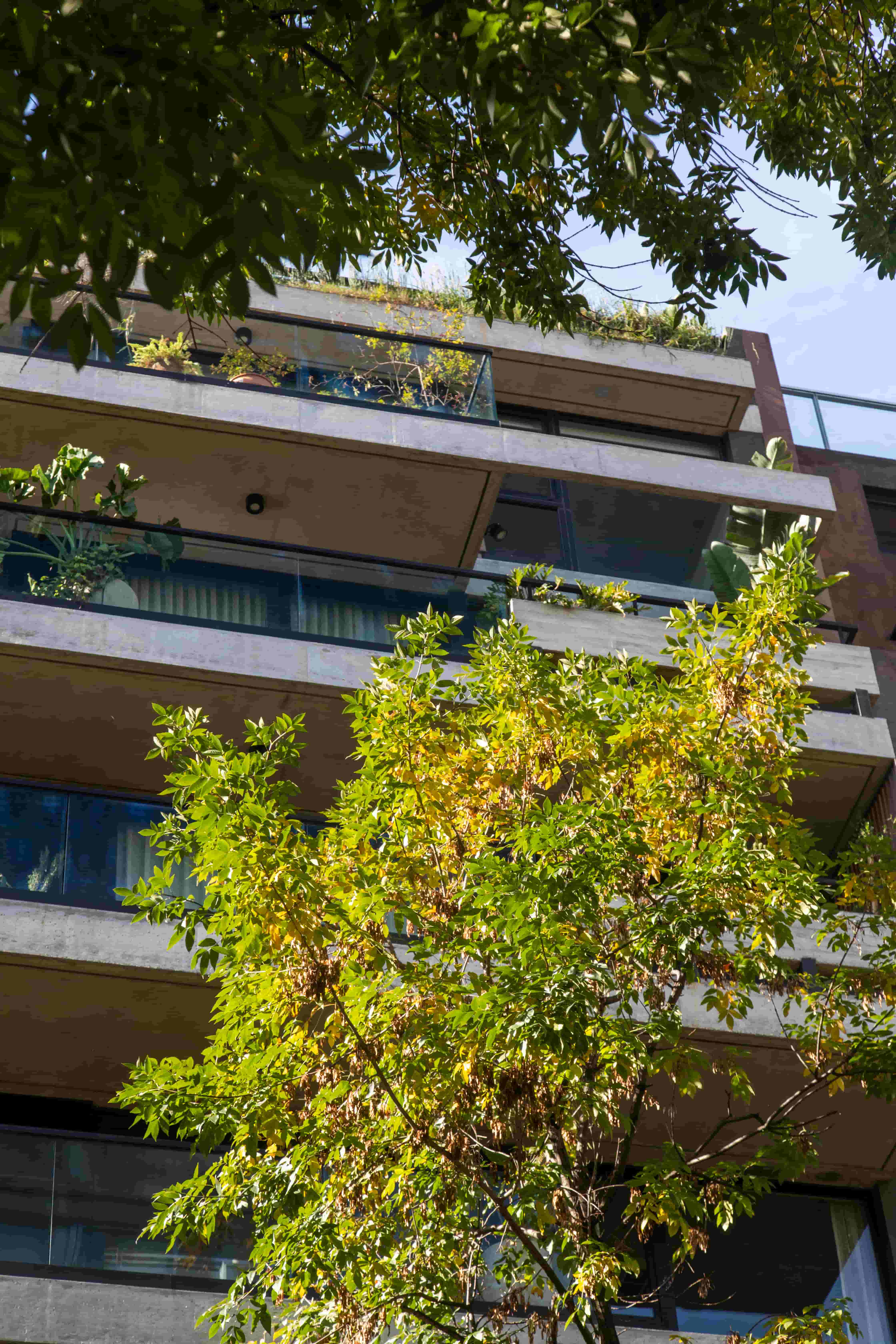 Prima — Hall de ingreso